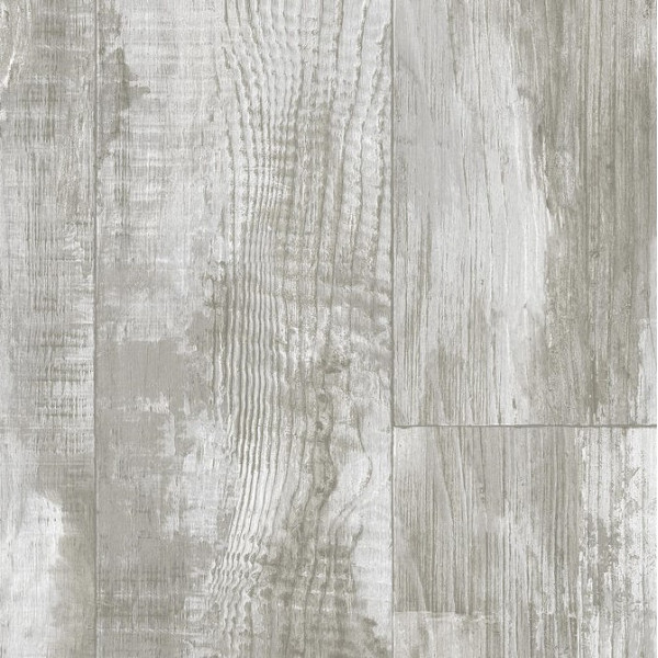 Gladiator Miele 3