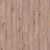 Линолеум Juteks Magnit Gotick Oak 2