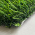 Искусственная трава Bellinturf Green Planet 203 Искусственная трава Bellinturf Green Planet 203