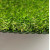 Искусственная трава Bellinturf Jasmin 304 Искусственная трава Bellinturf Jasmin 304
